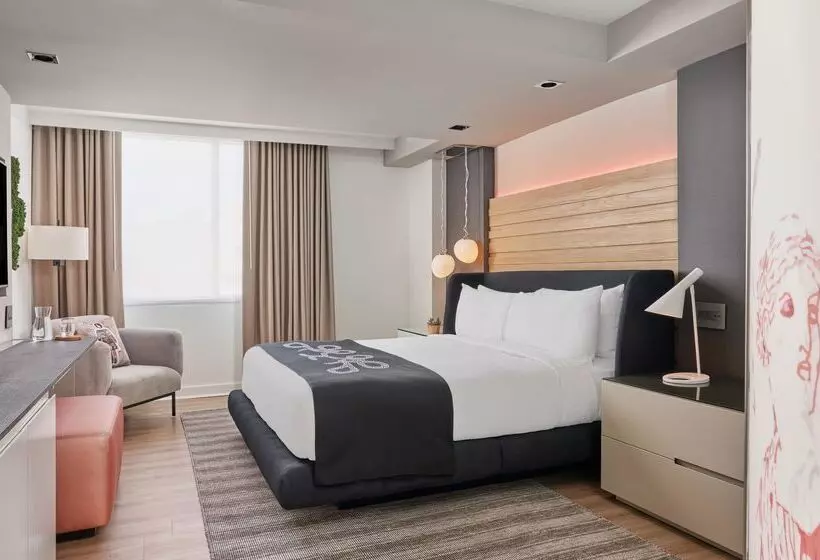 اتاق استاندارد با تخت بزرگ, Zena Washington Dc