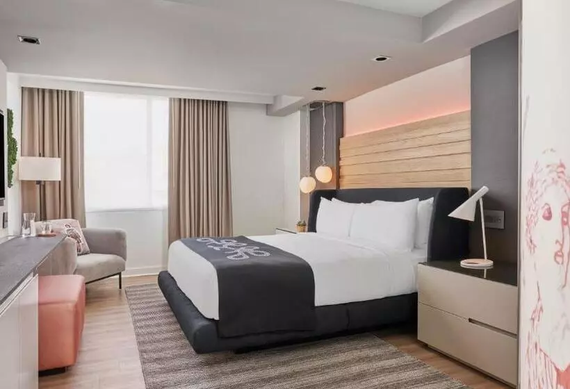 اتاق استاندارد با تخت بزرگ, Zena Washington Dc