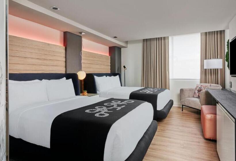 Номер Стандарт, Zena Washington Dc