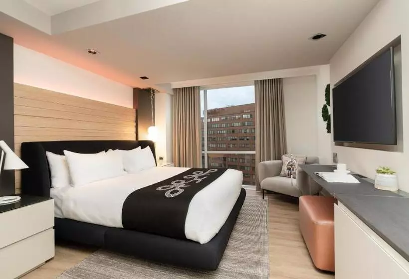 اتاق استاندارد با تخت بزرگ, Zena Washington Dc