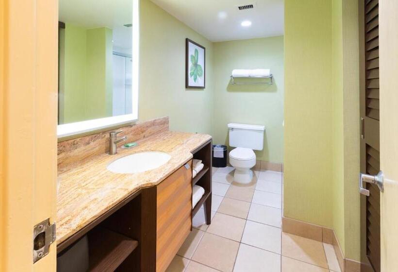 Стандартный Номер Кровать Кинг, Holiday Inn San Jose Silicon Valley, An Ihg