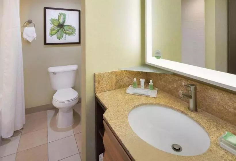 ２ダブルベッドのスタンダードルーム, Holiday Inn San Jose Silicon Valley, An Ihg