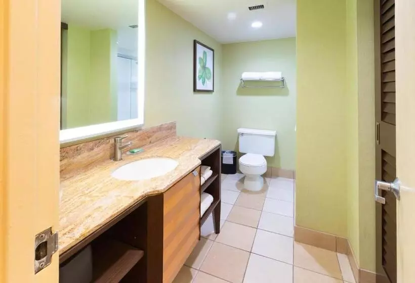 キングサイズベッドのエクゼクティブルーム, Holiday Inn San Jose Silicon Valley, An Ihg