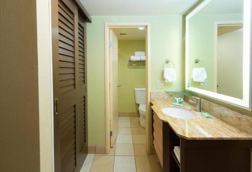 Номер Клуб, Holiday Inn San Jose Silicon Valley, An Ihg