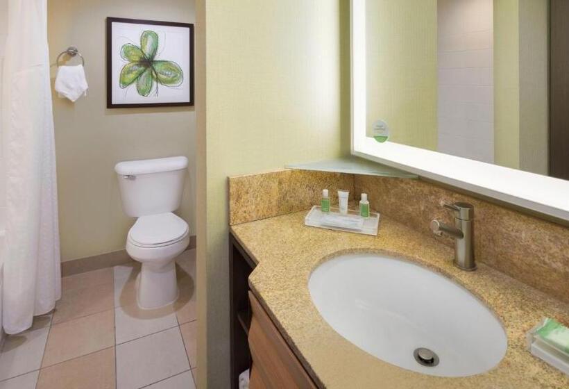 Номер Executive, Holiday Inn San Jose Silicon Valley, An Ihg