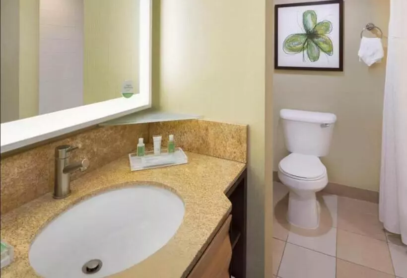 キングサイズベッドのスイートルーム, Holiday Inn San Jose Silicon Valley, An Ihg