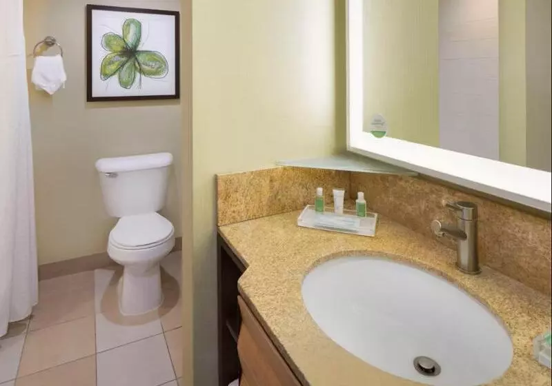 キングサイズベッドのスイートルーム, Holiday Inn San Jose Silicon Valley, An Ihg