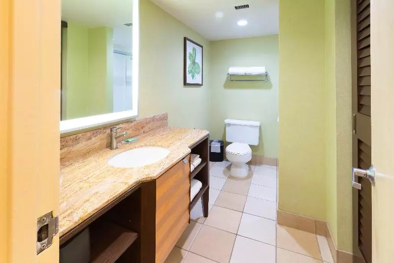 キングサイズベッドのスタンダードルーム, Holiday Inn San Jose Silicon Valley, An Ihg