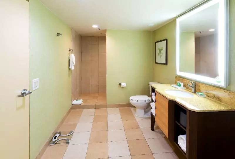 キングサイズベッドのスタンダードルーム, Holiday Inn San Jose Silicon Valley, An Ihg