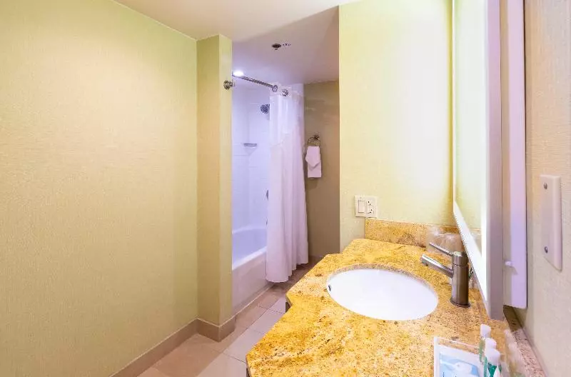 キングサイズベッドのスタンダードルーム, Holiday Inn San Jose Silicon Valley, An Ihg