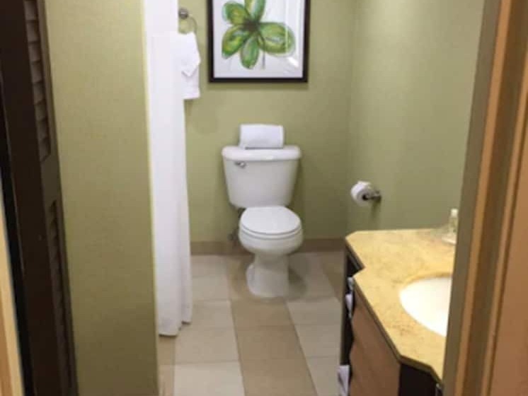 Номер Стандарт 2 Двуспальные Кровати, Holiday Inn San Jose Silicon Valley, An Ihg