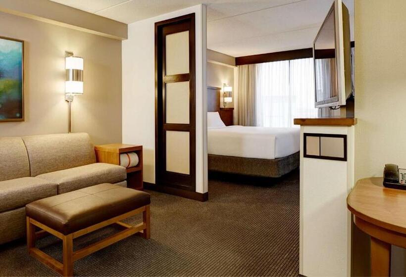 适合残疾人士使用的带超级大床的标准间, Hyatt Place Milwaukee Airport
