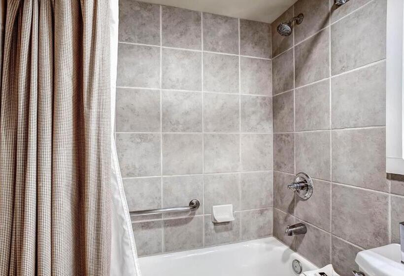 スタンダードルーム, The Keystone Lodge And Spa By Keystone Resort