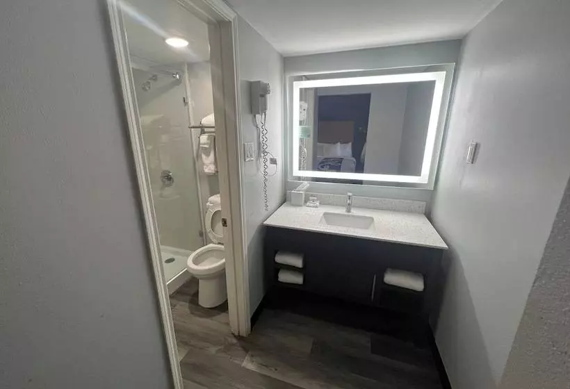 اتاق استاندارد با 2 تخت دوبل, La Quinta Inn By Wyndham Amarillo Midcity