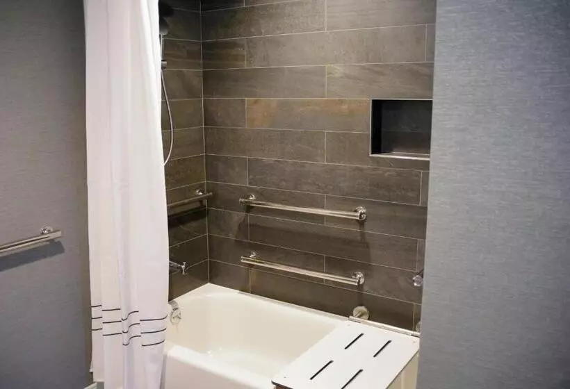 اتاق استاندارد با تخت بزرگ, Omaha Marriott