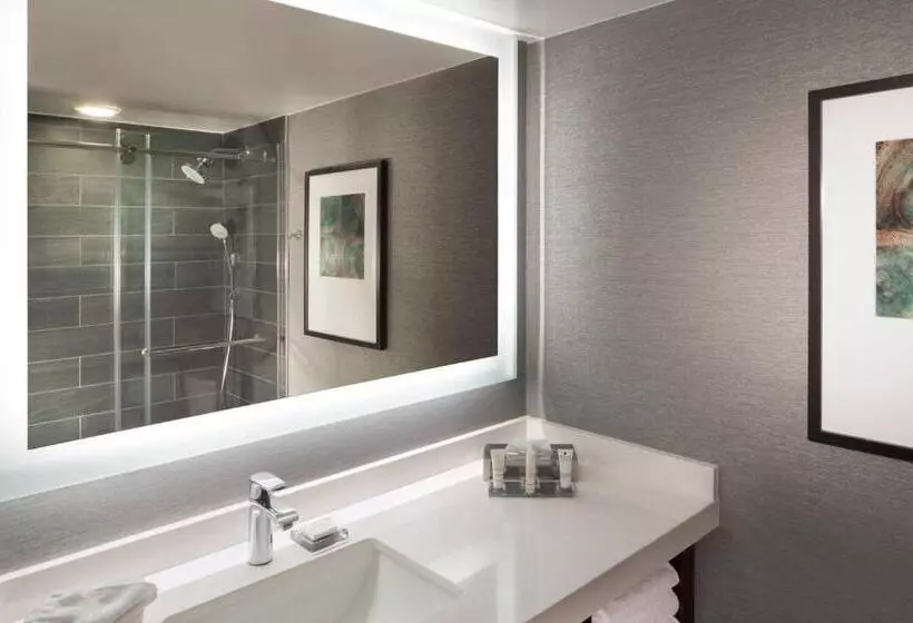 اتاق استاندارد با تخت بزرگ برای معلولان, Omaha Marriott