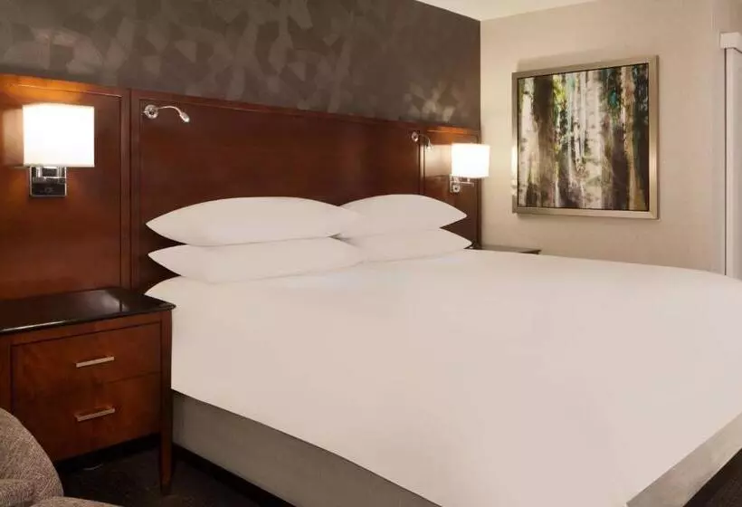 اتاق استاندارد با تخت بزرگ برای معلولان, Omaha Marriott