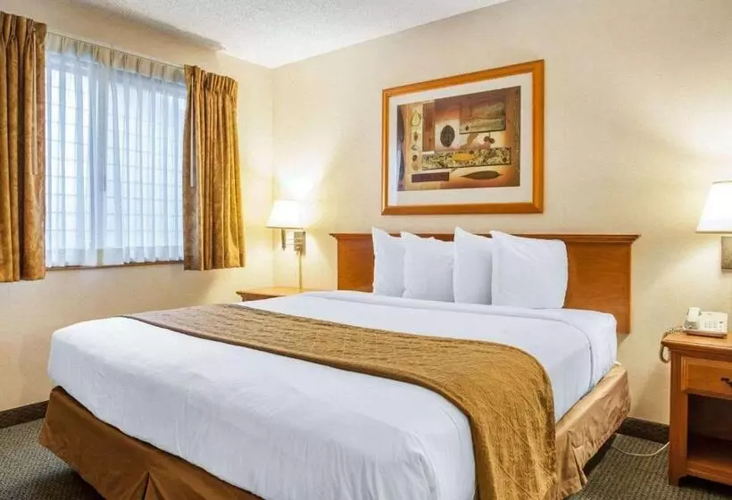 キングサイズベッドのスタンダードルーム, Quality Inn Mount Vernon