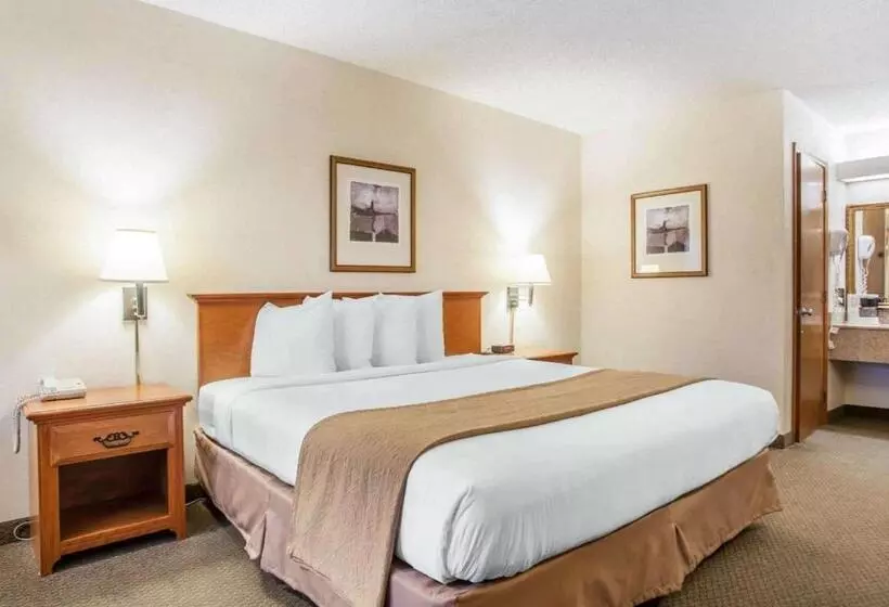 キングサイズベッドのスタンダードルーム, Quality Inn Mount Vernon