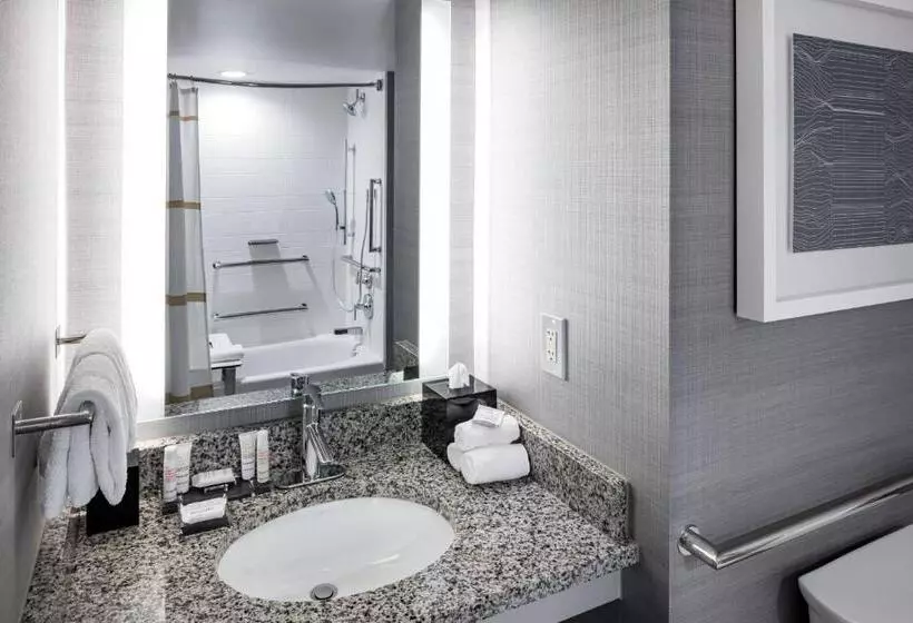 اتاق استاندارد با چشم‌انداز شهر, Richmond Marriott