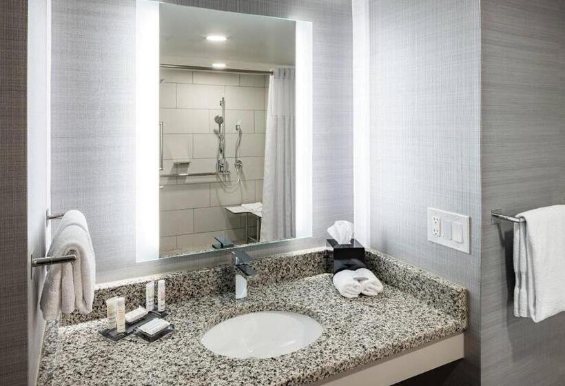 带城市景观的标准间, Richmond Marriott