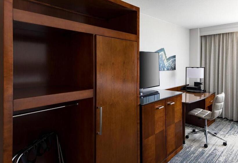 带城市景观的标准间, Richmond Marriott