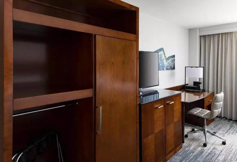 اتاق استاندارد با چشم‌انداز شهر, Richmond Marriott