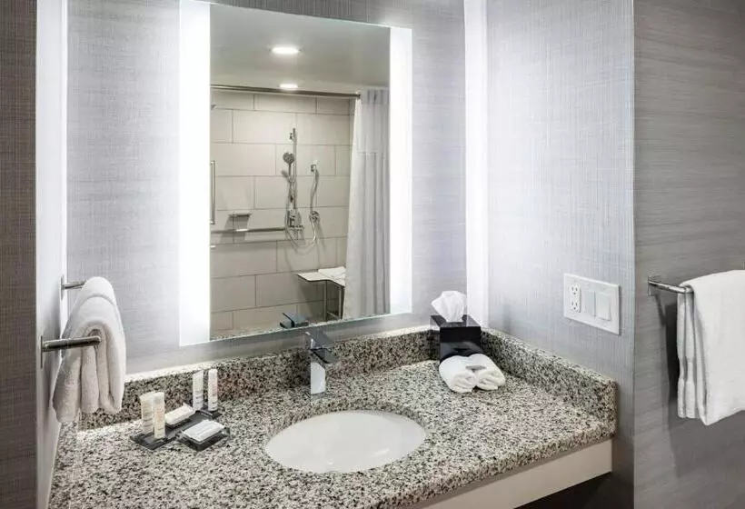 اتاق استاندارد با تخت بزرگ, Richmond Marriott