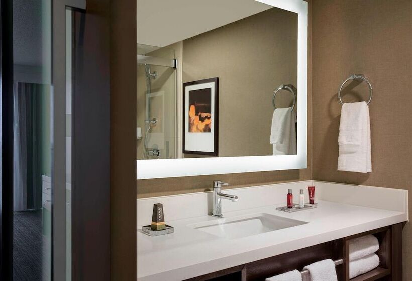 Номер Стандарт Двуспальная Кровать, San Antonio Marriott Riverwalk