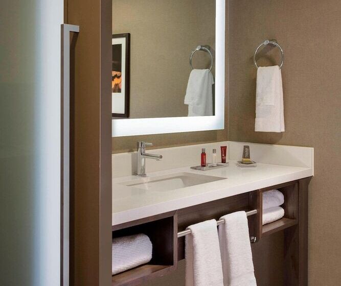 Номер Стандарт Двуспальная Кровать, San Antonio Marriott Riverwalk