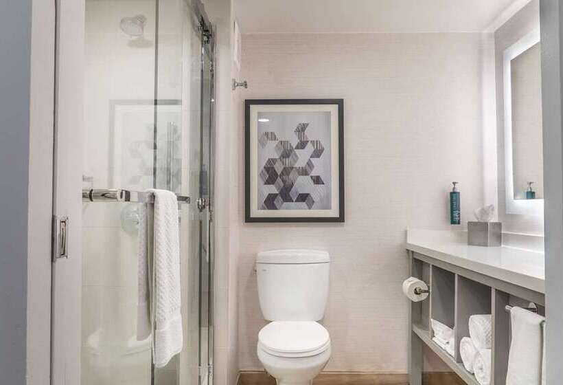 キングサイズベッドのスタンダードルーム, Doubletree By Hilton Canton Downtown