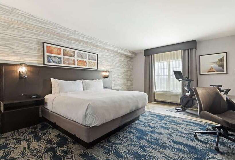 스탠다드 룸, Doubletree By Hilton Canton Downtown