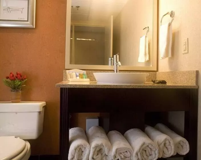 اتاق استاندارد, Doubletree By Hilton Springfield
