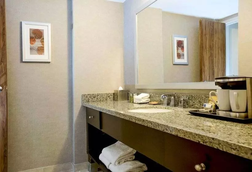 اتاق استاندارد, Doubletree By Hilton Springfield