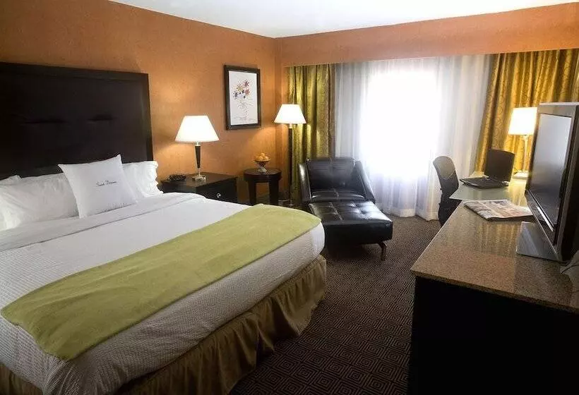 اتاق استاندارد, Doubletree By Hilton Springfield