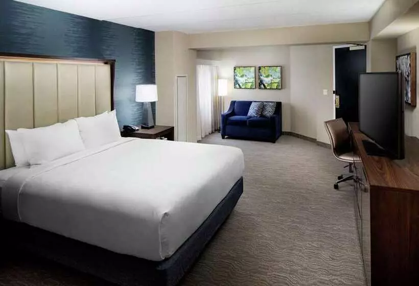 اتاق استاندارد, Doubletree By Hilton St. Louis Airport