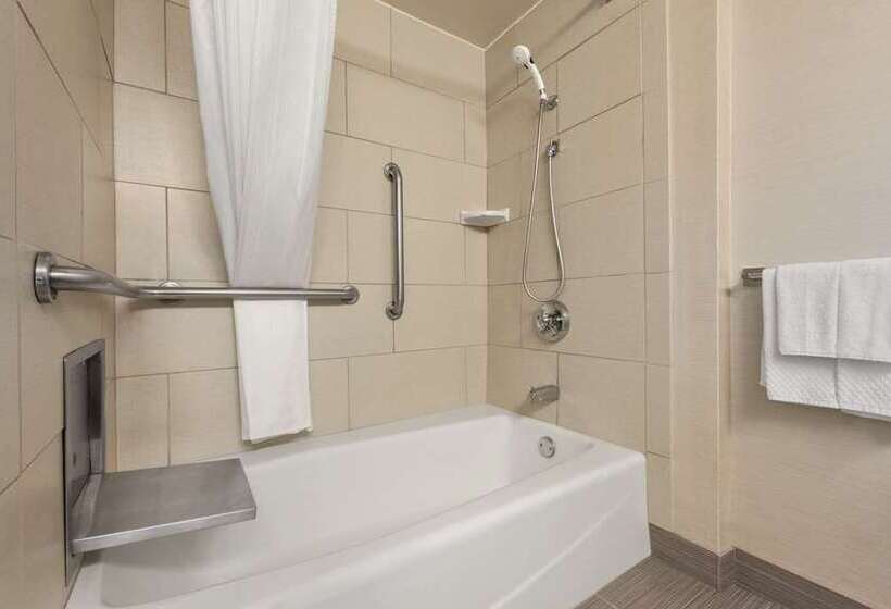Номер Стандарт, Doubletree By Hilton St. Louis Airport