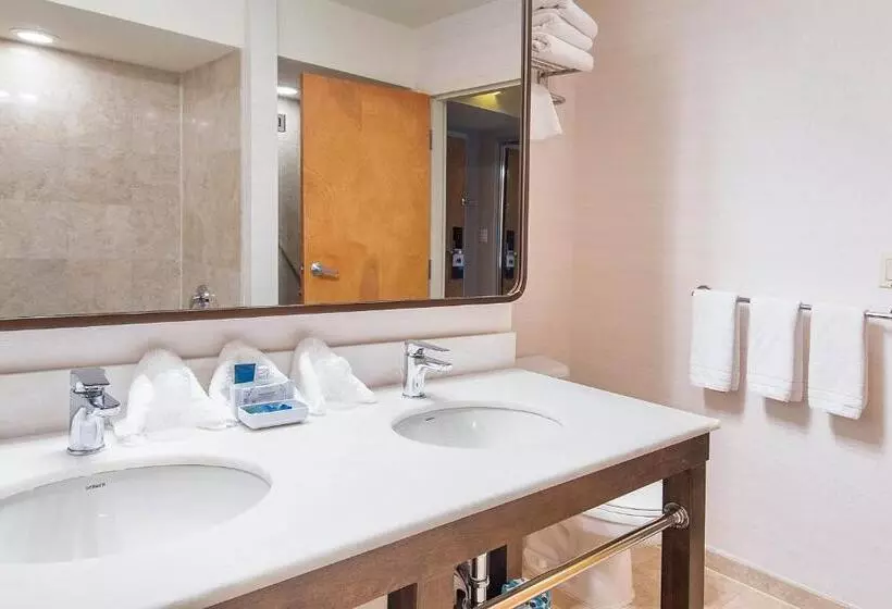 キングサイズベッドのスイートルーム, Four Points By Sheraton Melville Long Island