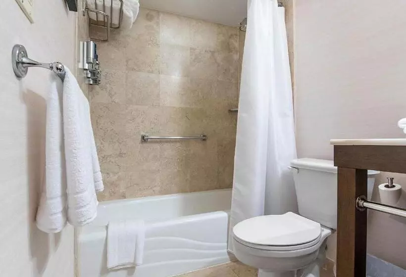 キングサイズベッドのスタンダードルーム, Four Points By Sheraton Melville Long Island