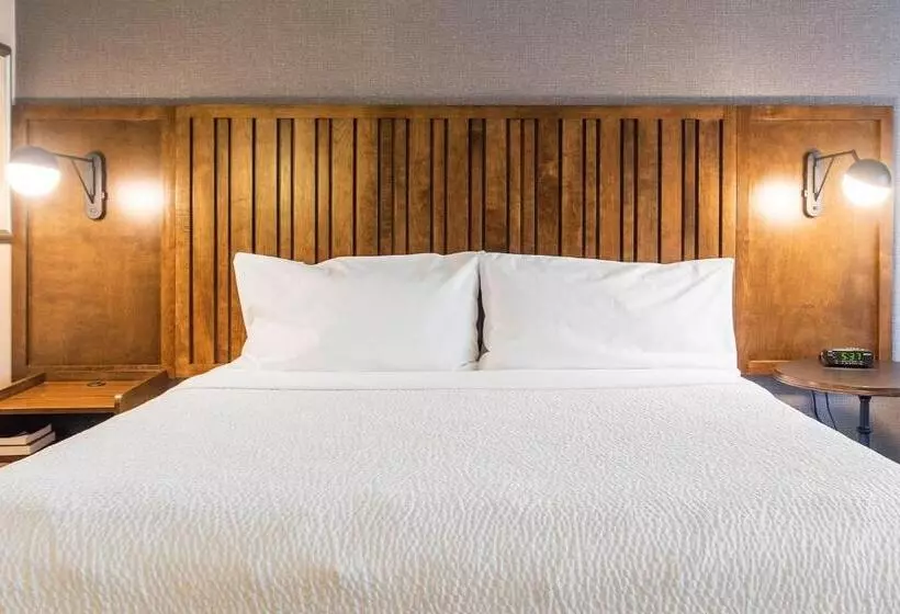 キングサイズベッドのスタンダードルーム, Four Points By Sheraton Melville Long Island