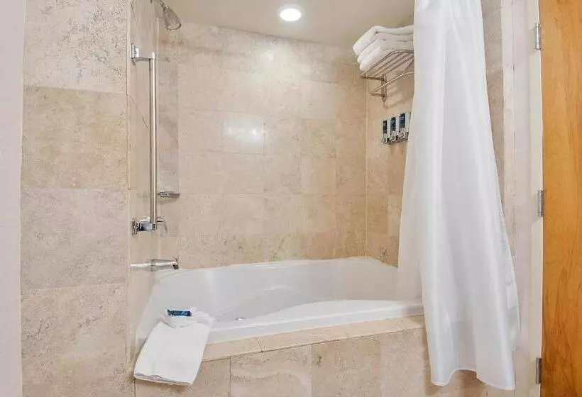 キングサイズベッドのスタンダードルーム, Four Points By Sheraton Melville Long Island