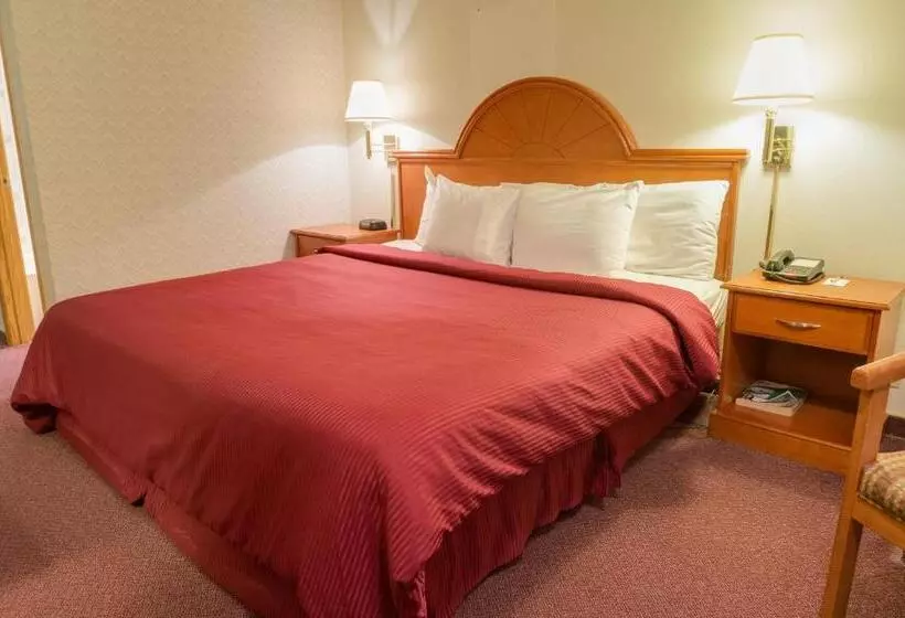スタンダードルーム, Guesthouse Inn Fife