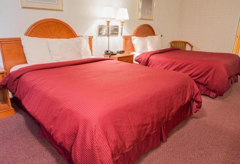 标准间, Guesthouse Inn Fife