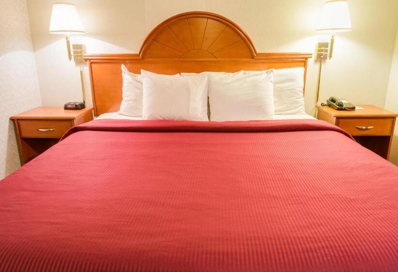 غرفة قياسية سرير كينج, Guesthouse Inn Fife