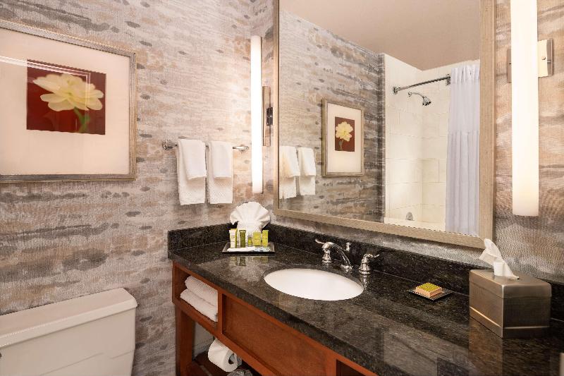 スタンダードルーム, Hilton Lexington/downtown