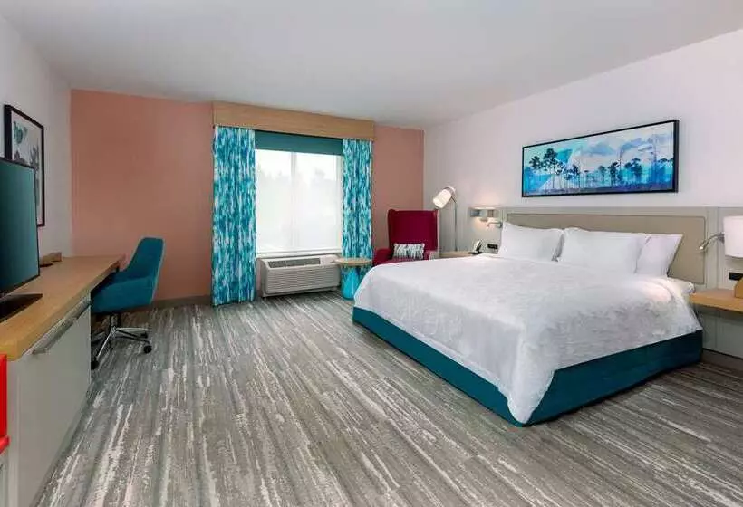 اتاق استاندارد با تخت بزرگ برای معلولان, Hilton Lexington/downtown