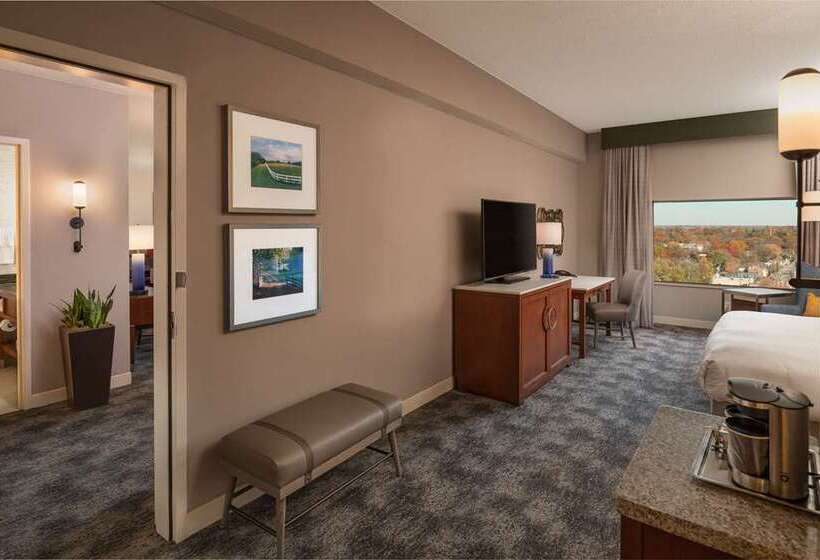 スタンダードルーム, Hilton Lexington/downtown