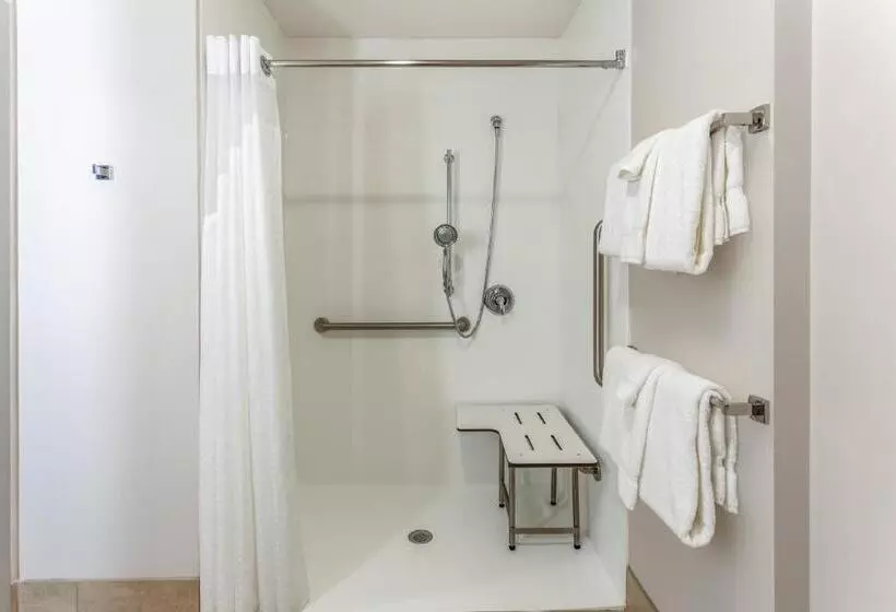اتاق استاندارد با تخت بزرگ برای معلولان, Holiday Inn Express & Suites   Springfield North, An Ihg