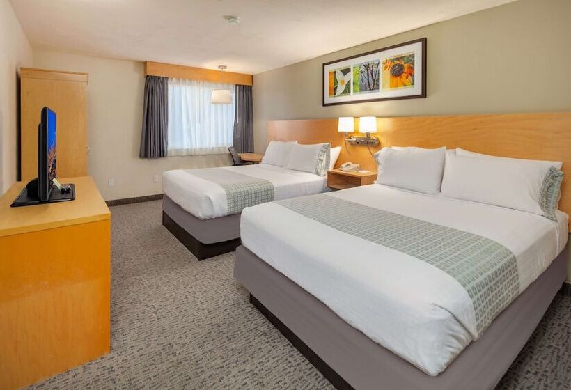 سوئیت برای معلولان, Nexus; Bw Signature Collection