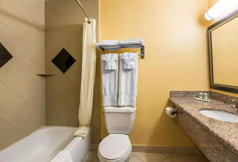اتاق استاندارد با تخت بزرگ, Quality Inn & Suites Bell Gardenslos Angeles